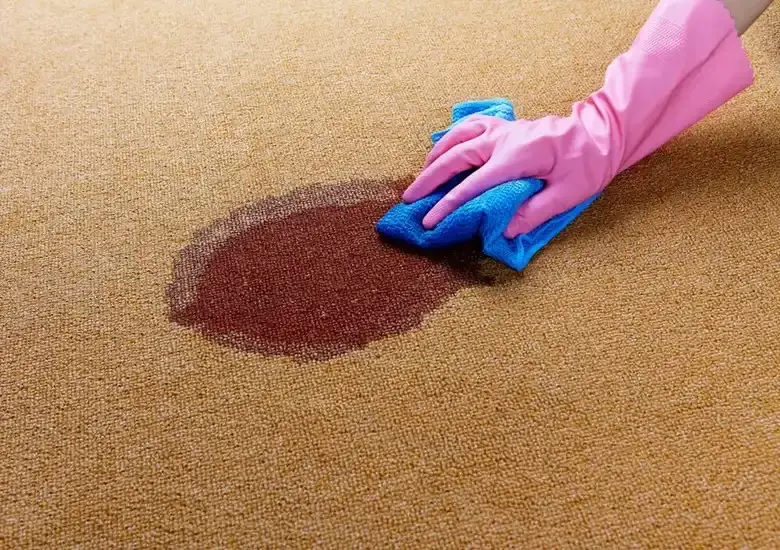 Clean your Carpet